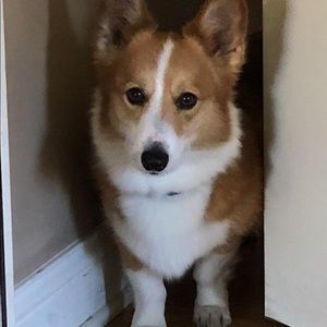 Meet your Posher, Karen